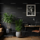 Elegant Indoor Plant Display with Black Wall and Modern Decor