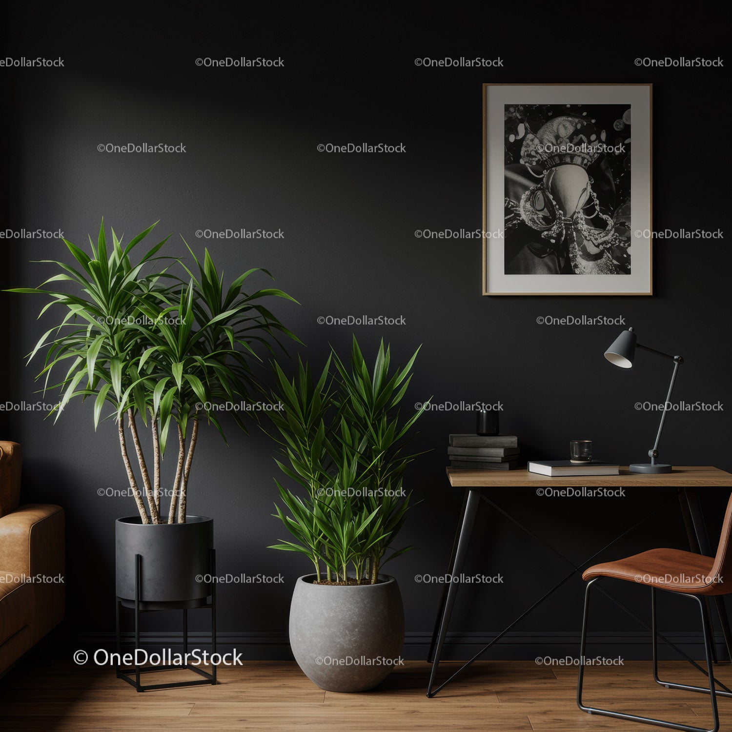 Elegant Indoor Plant Display with Black Wall and Modern Decor
