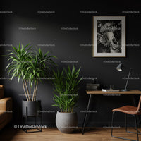 Elegant Indoor Plant Display with Black Wall and Modern Decor