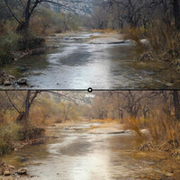 Cozy Autumn Leaves Palette 10 LUTs digital asset preview