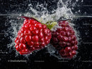 Fresh Red Raspberries Splashing into Water with Burst of Juiciness