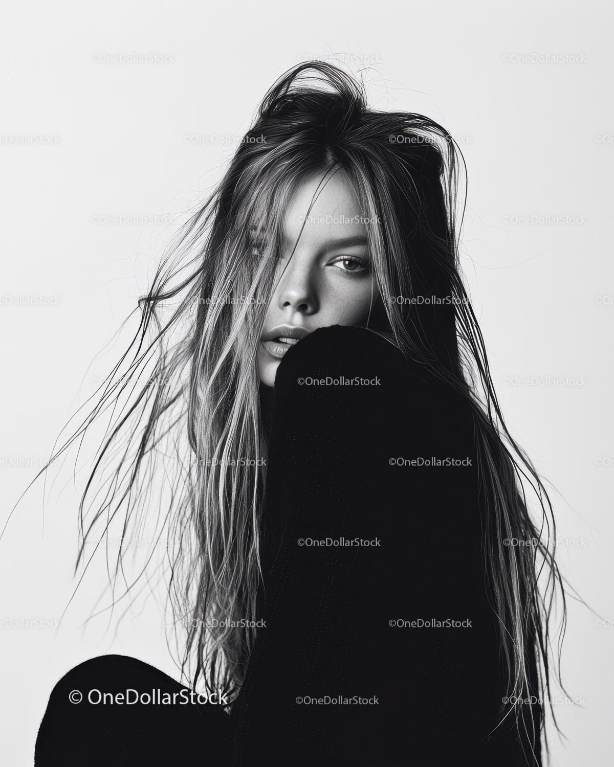 Black and White Artistic Portrait of a Young Woman with Messy Hair