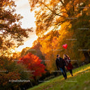 Couple Walking in Autumn Park with Heart Balloon