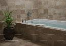 Modern Bathroom with Bathtub and Green Plant in Elegant Alley