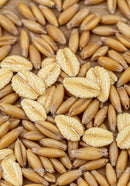Close up of oat grains and flakes texture background