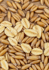 Close up of oat grains and flakes texture background