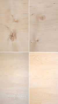 Birch Wood Textures preview 5