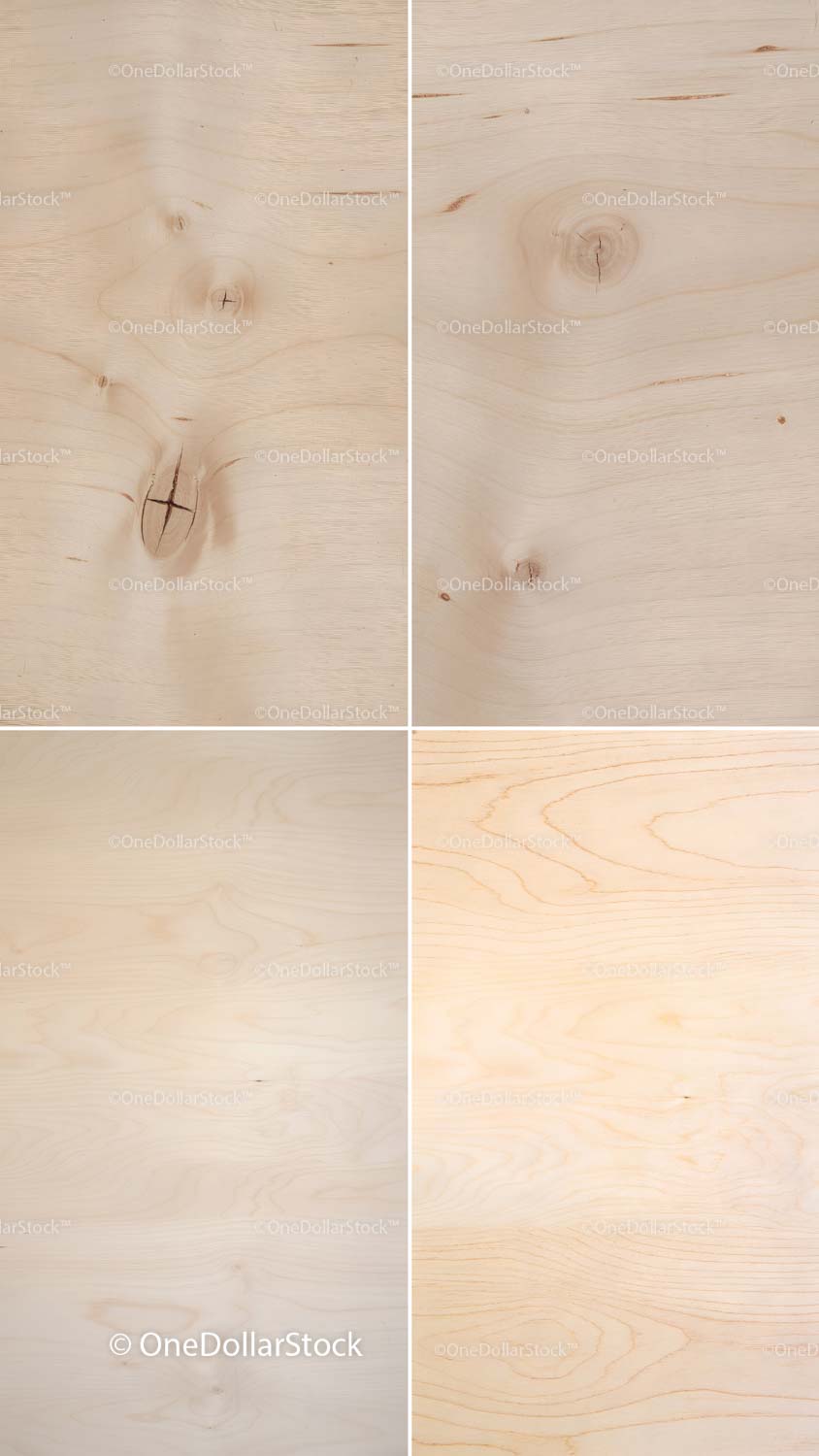 Birch Wood Textures preview 5