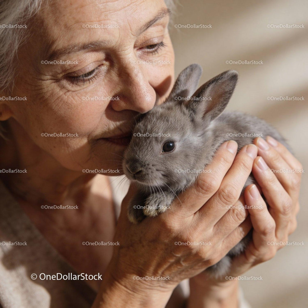 Elderly woman gently holding a small gray rabbit