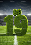 Nineteen percent shaped from green grass on soccer field