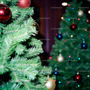 Close-up of decorated Christmas trees with colorful lights