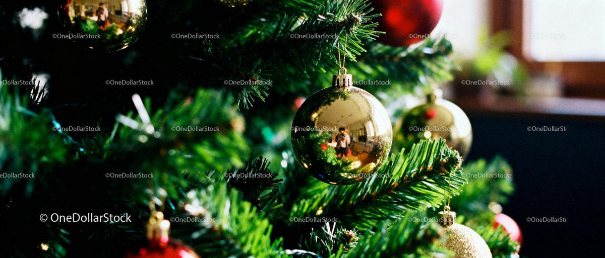 Close-up of Christmas tree with shiny golden baubles
