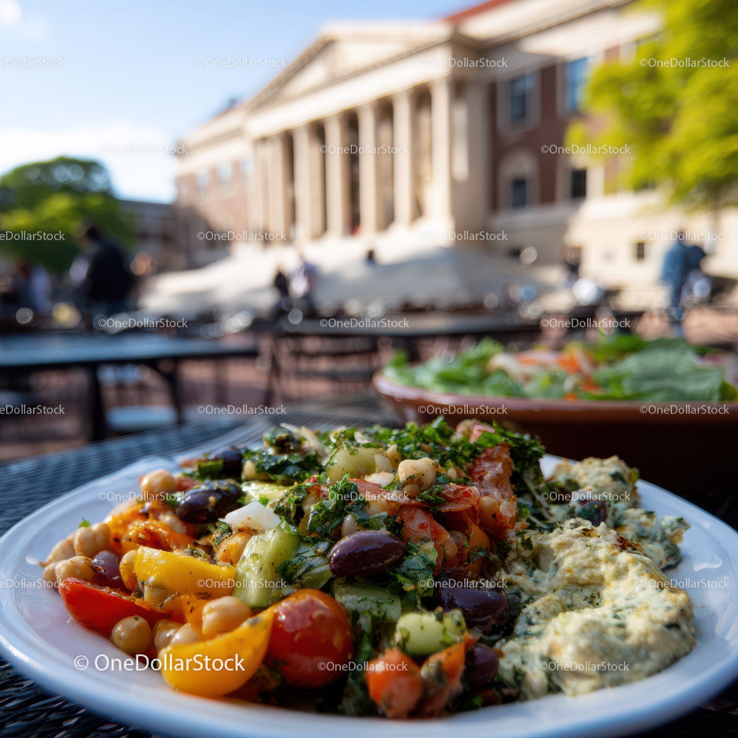 Fresh Vegetable Salad with Hummus in Outdoor Garden Setting
