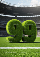 Green Grass Number 99 on Soccer Field in Stadium
