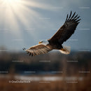 Majestic Bald Eagle in Flight with Spread Wings Over Nature Scene
