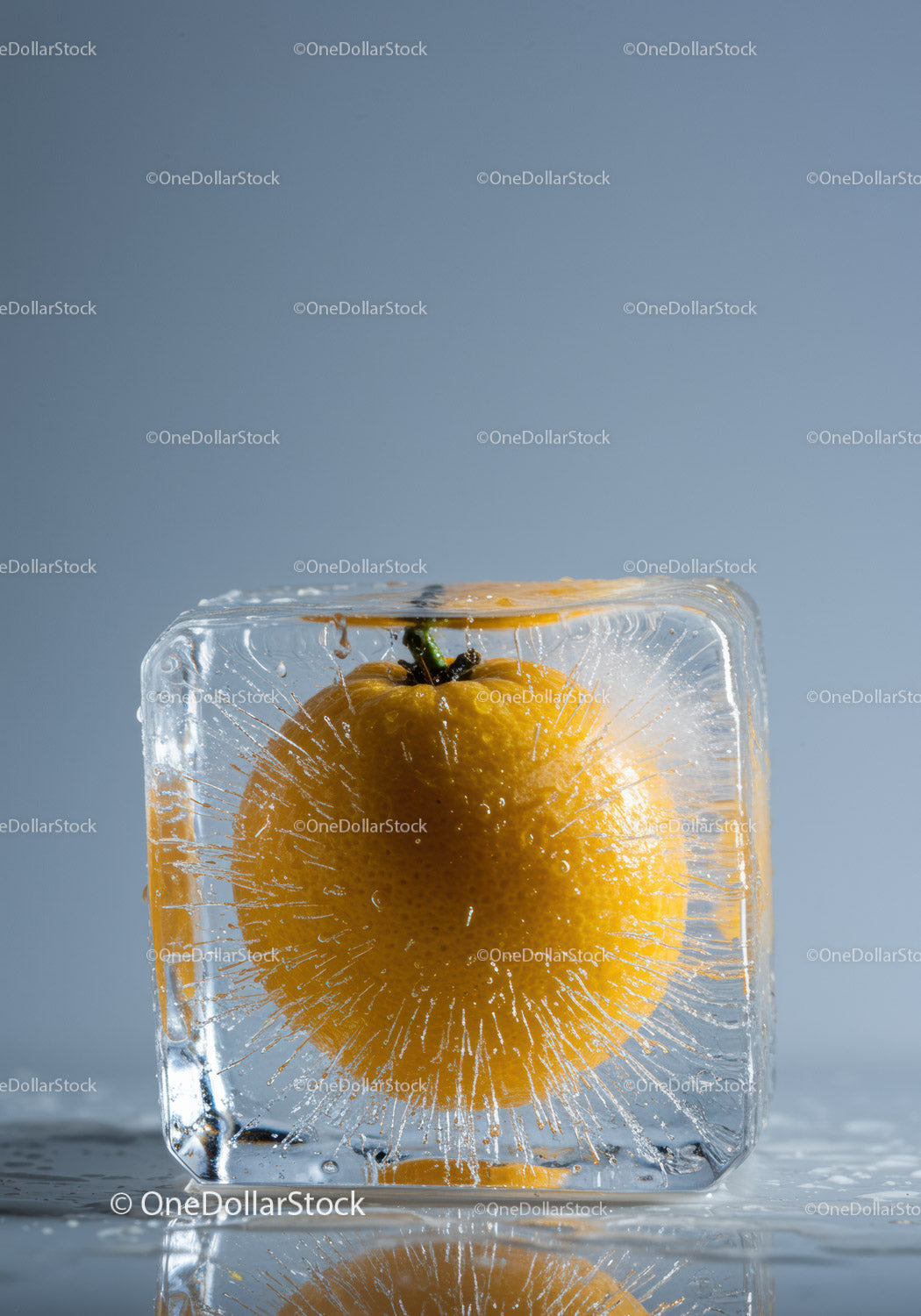Fresh orange frozen inside clear ice cube