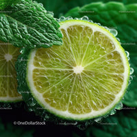 Close-Up of Fresh Lime with Mint Leaf and Water Droplets