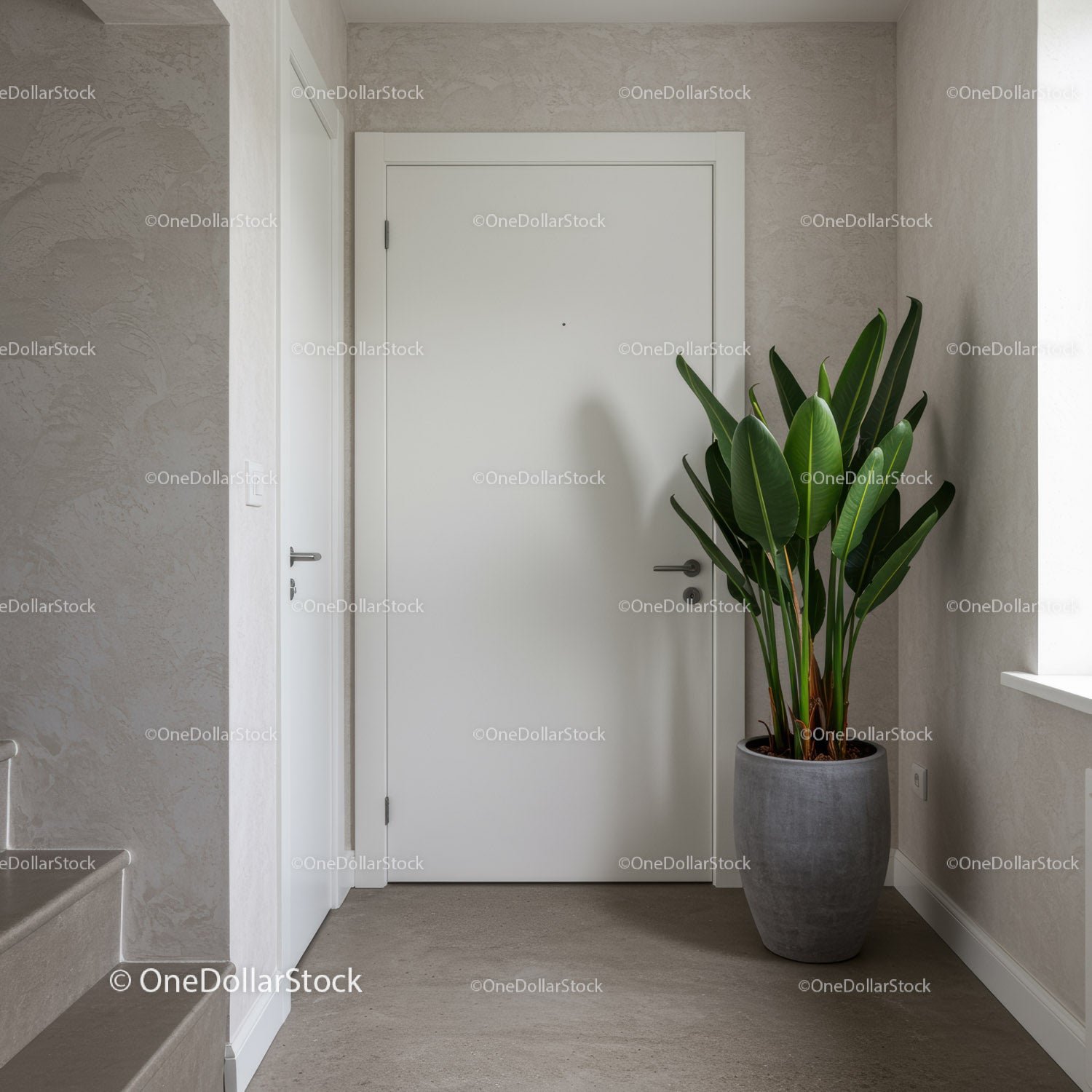 Modern Minimalist Home Entrance with Green Foliage and White Door