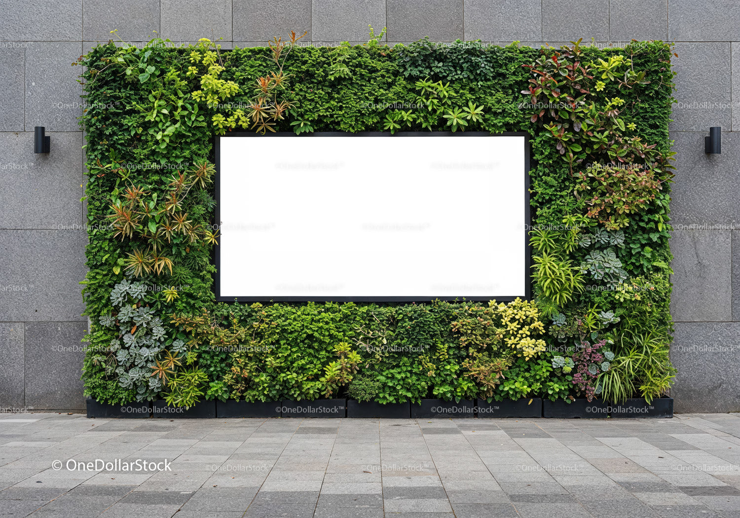 Urban vertical garden with blank advertising space