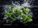 Fresh Spinach Leaves Splashing in Water with Vibrant Green Color