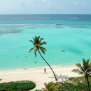 Lonely Traveler on a Tropical Beach Under a Palm Tree