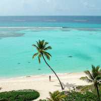 Lonely Traveler on a Tropical Beach Under a Palm Tree