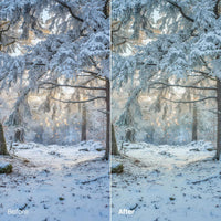 Before and after Serene Cold Atmosphere Lightroom preset edit