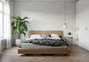 Minimalist Bedroom with Large Window and Green Houseplant