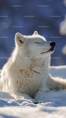 Majestic Arctic Fox Relaxing in a Snowy Landscape