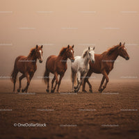 Majestic Herd of Brown Horses Running in Sunset Landscape