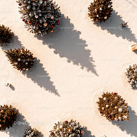 Decorated Christmas Trees Casting Long Shadows on Snow