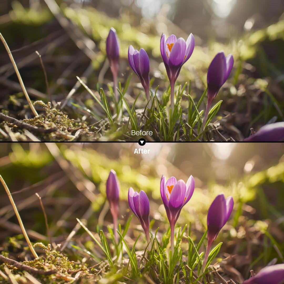 Before and after Spring Bloom LUT Pack effect