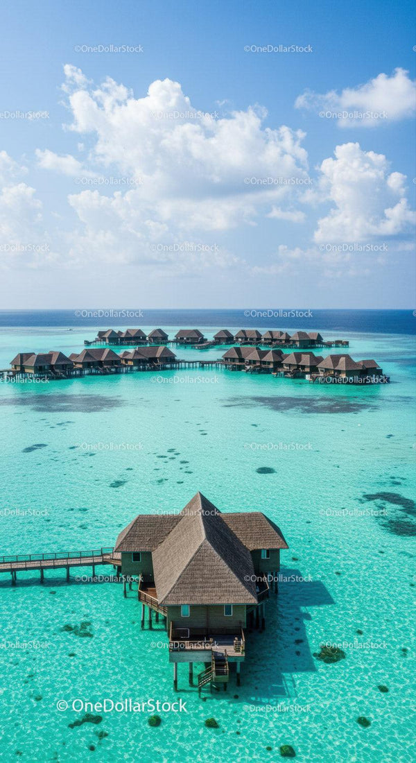 Luxurious Overwater Bungalows in Tropical Paradise with Crystal Clear Water