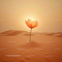 Delicate flower blooming in vast desert dunes