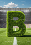 Large Grass Letter B on Soccer Field Center Line