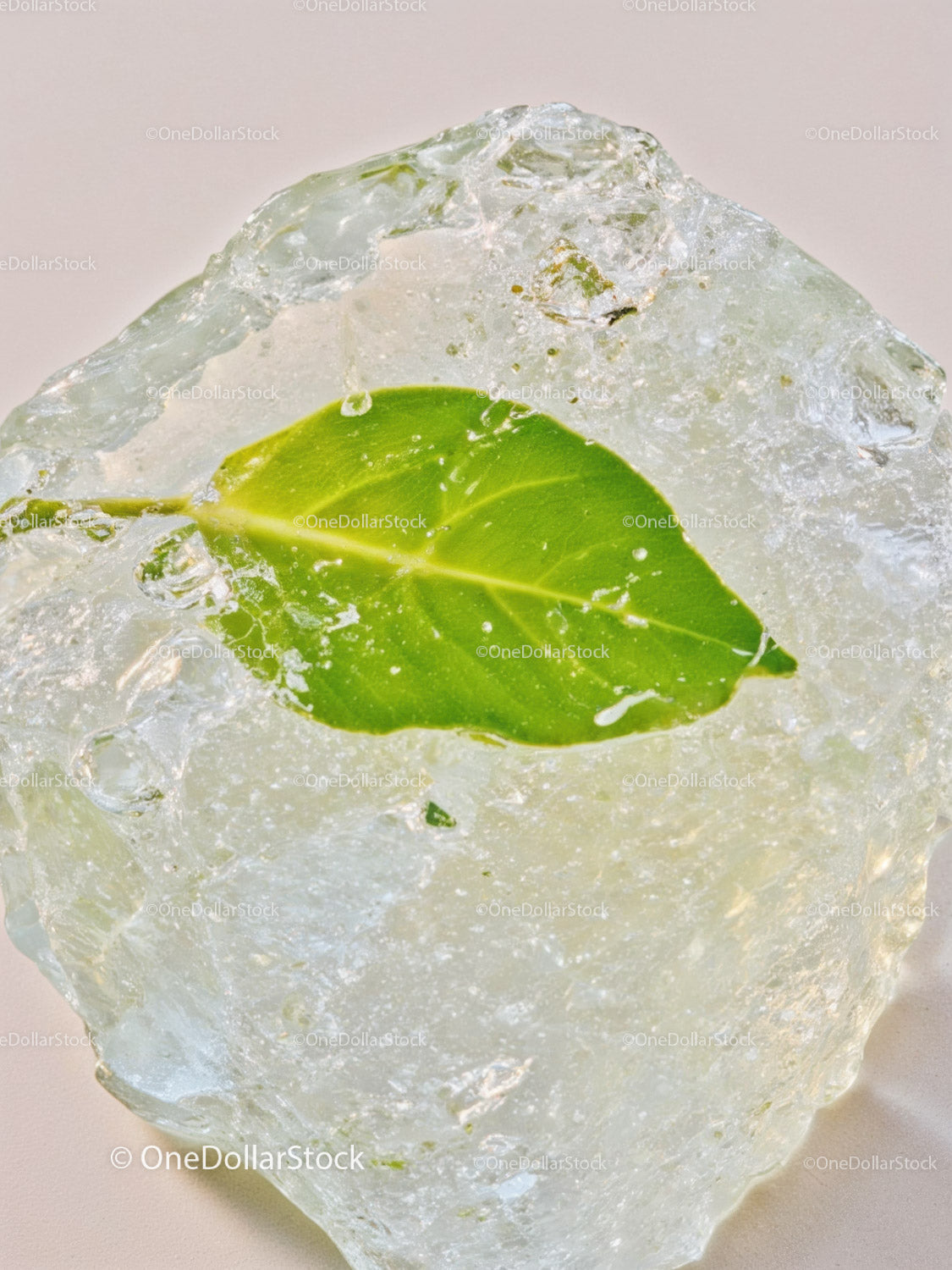 Fresh green leaf frozen inside a clear ice block