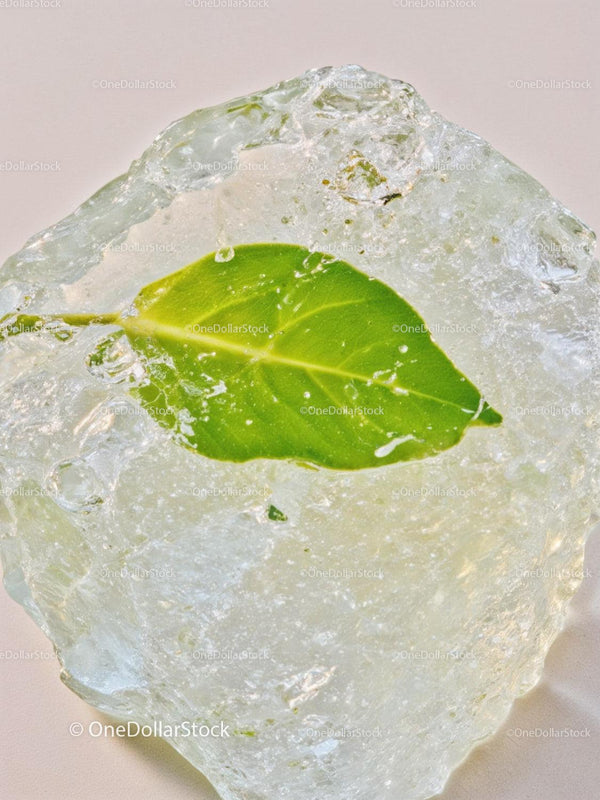Fresh green leaf frozen inside a clear ice block