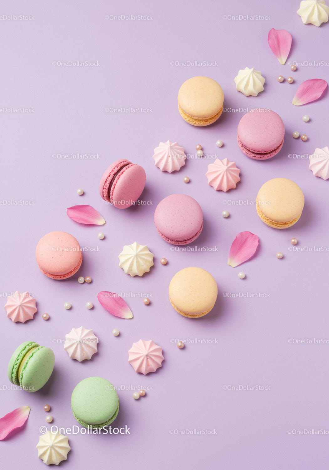 Colorful French macarons and meringues with petals
