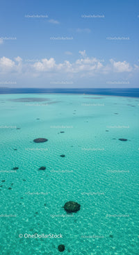 Tropical Ocean with Coral Reef and Bright Blue Sky