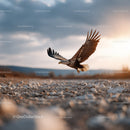 Majestic Bald Eagle in Flight Over Rocky Terrain at Sunset