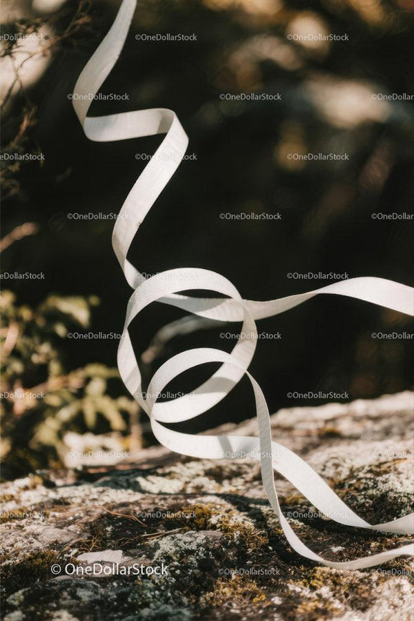 Elegant White Ribbon Curling Over Mossy Ground for Celebration Decor