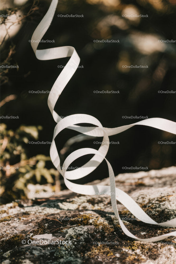 Elegant White Ribbon Curling Over Mossy Ground for Celebration Decor