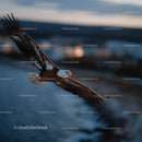 Majestic Bald Eagle Flying Over Ocean During Sunset