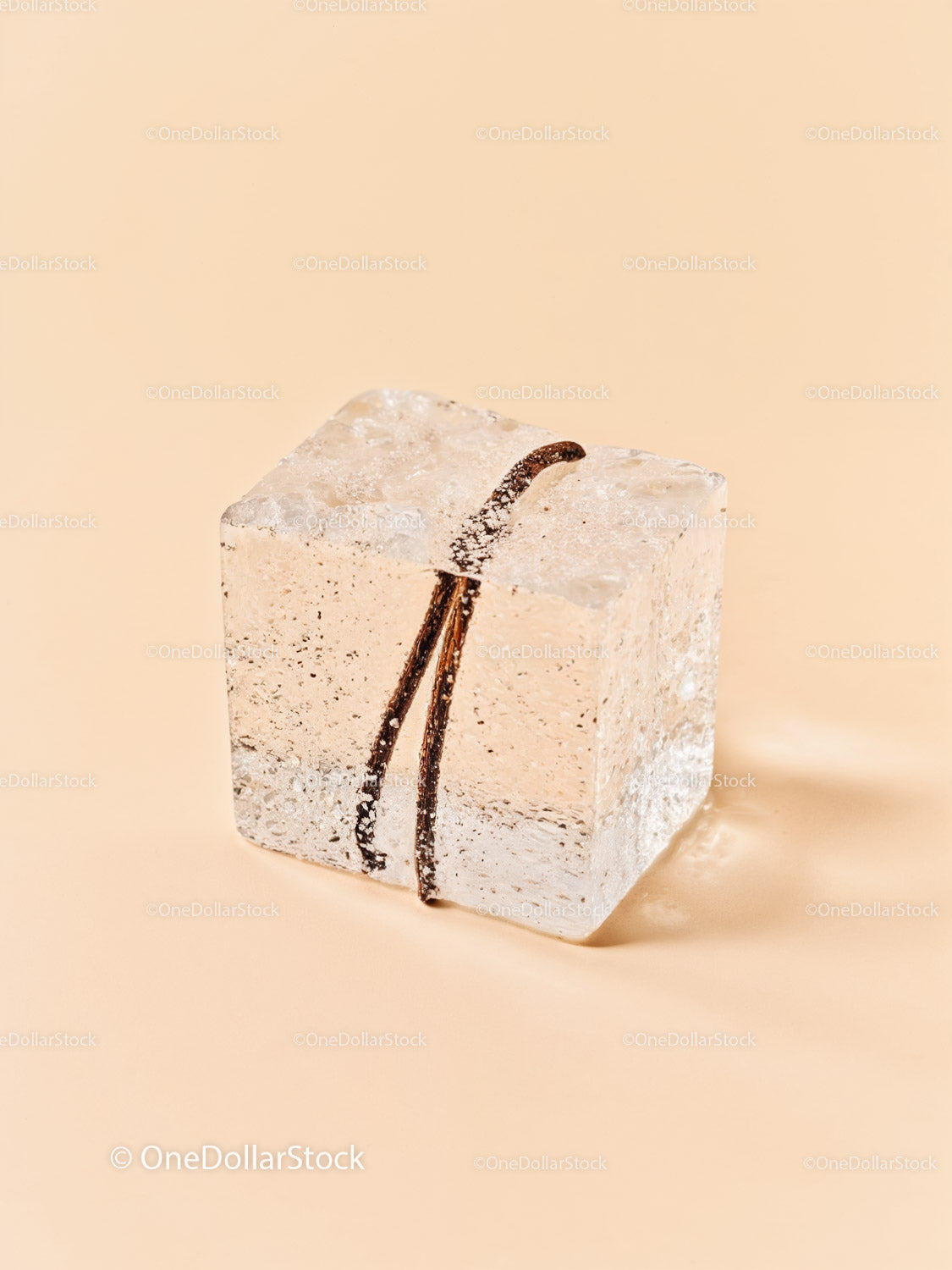 Vanilla bean frozen inside melting ice cube