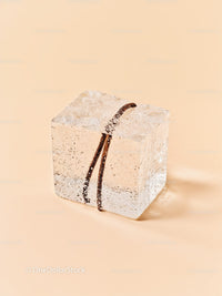 Vanilla bean frozen inside melting ice cube