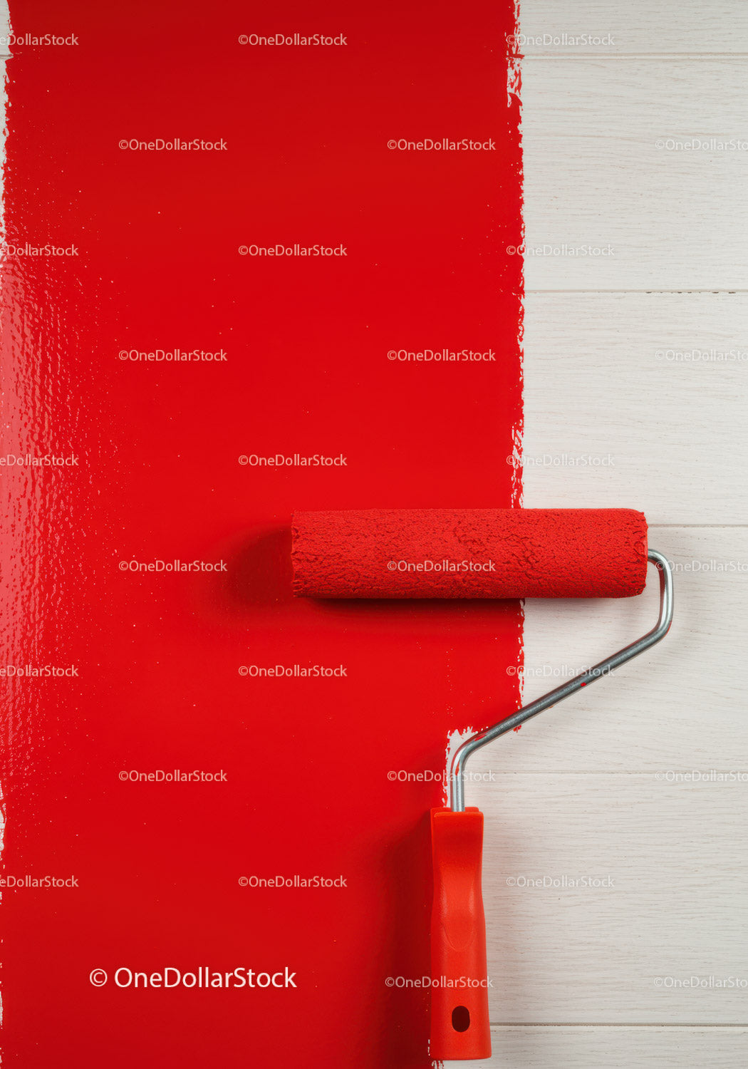 Red Paint Being Applied with Roller on White Wall for Home Renovation
