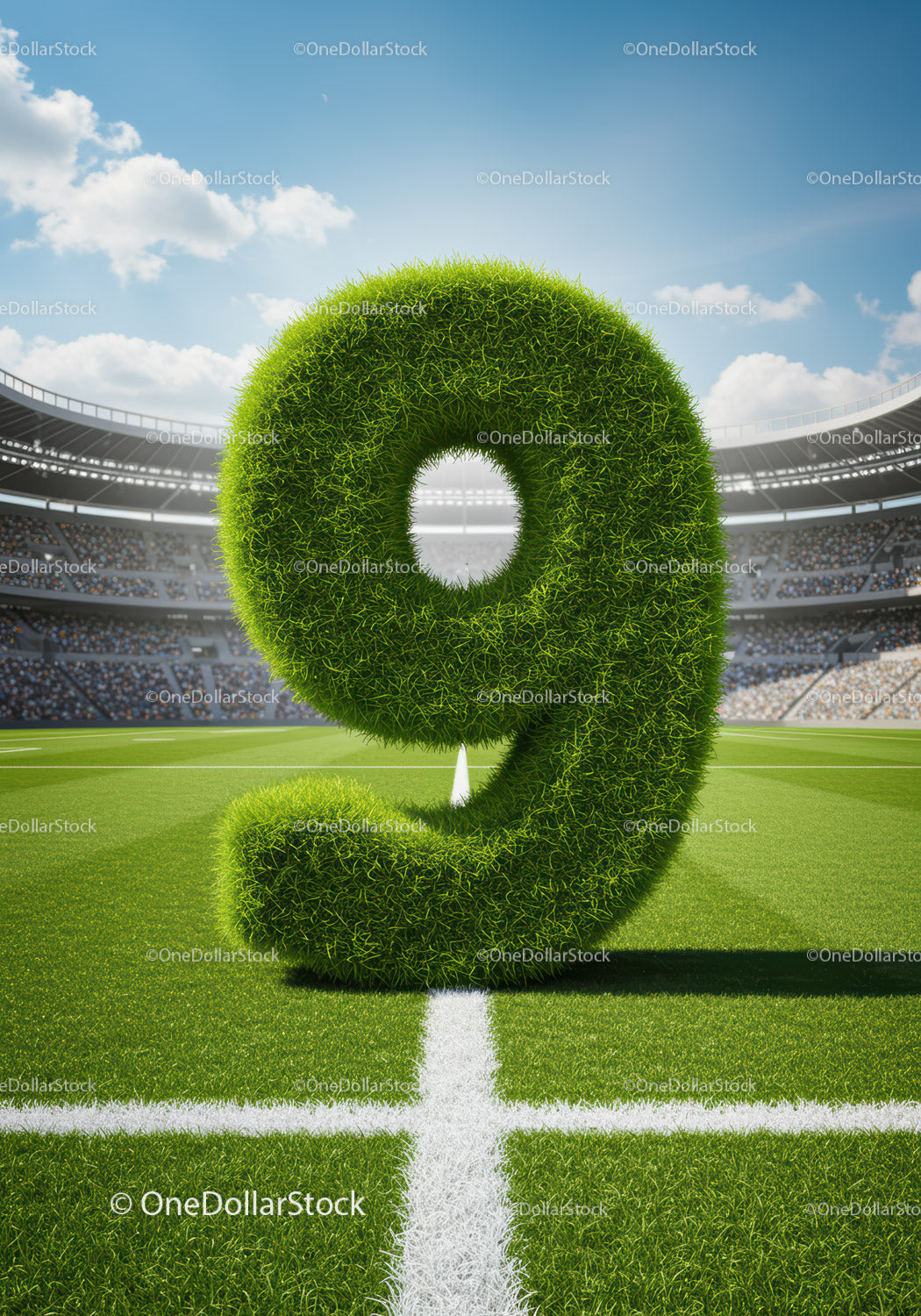 Green Grass Number Nine Standing on Soccer Field