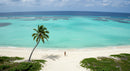 Lonely Traveler on a Tropical Beach Under a Palm Tree