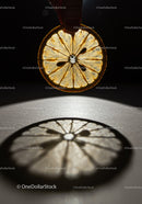 Backlit slice of dried lemon creating detailed shadow