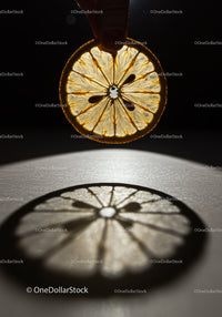 Backlit slice of dried lemon creating detailed shadow